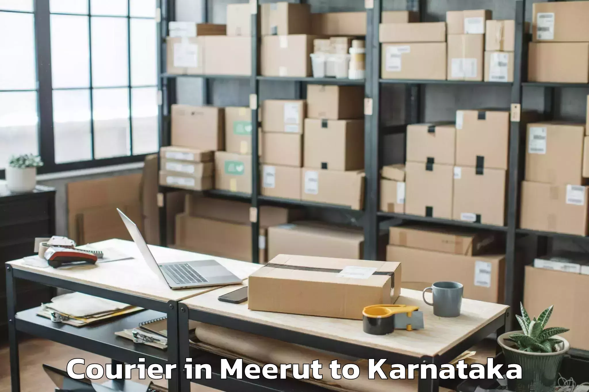 Top Meerut to Mudgere Courier Available